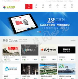 大气互联网服务机构企业公司网站模板——基于DEDECMS 5.7的工业互联网数据服务解决方案